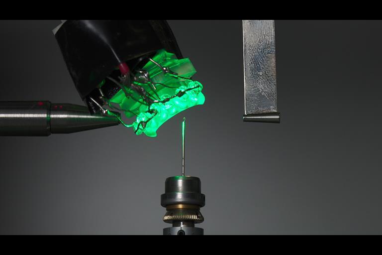 Shedding light on how photoactive crystals respond in real time ...